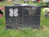 image of grave number 466257